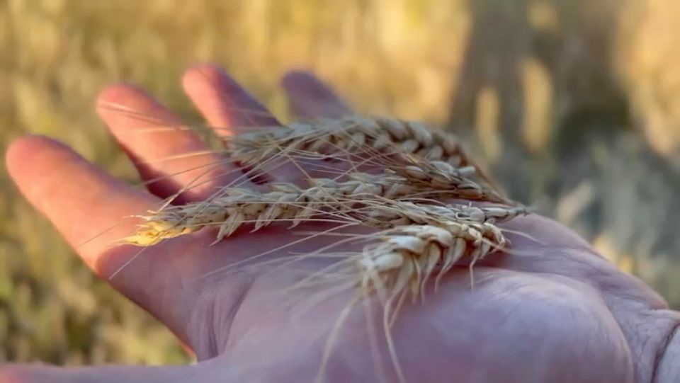 Novità a La Pergola: nelle pizze e nel pane di Tommaso Vatti